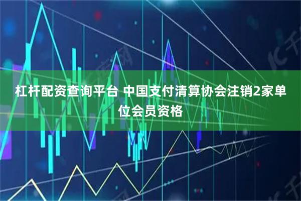 杠杆配资查询平台 中国支付清算协会注销2家单位会员资格