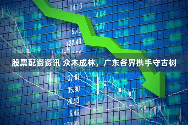 股票配资资讯 众木成林，广东各界携手守古树